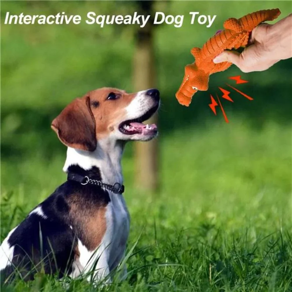 Squeaky Dog Toys for Chewers, Durable Dog Toys Natural For Large Breed